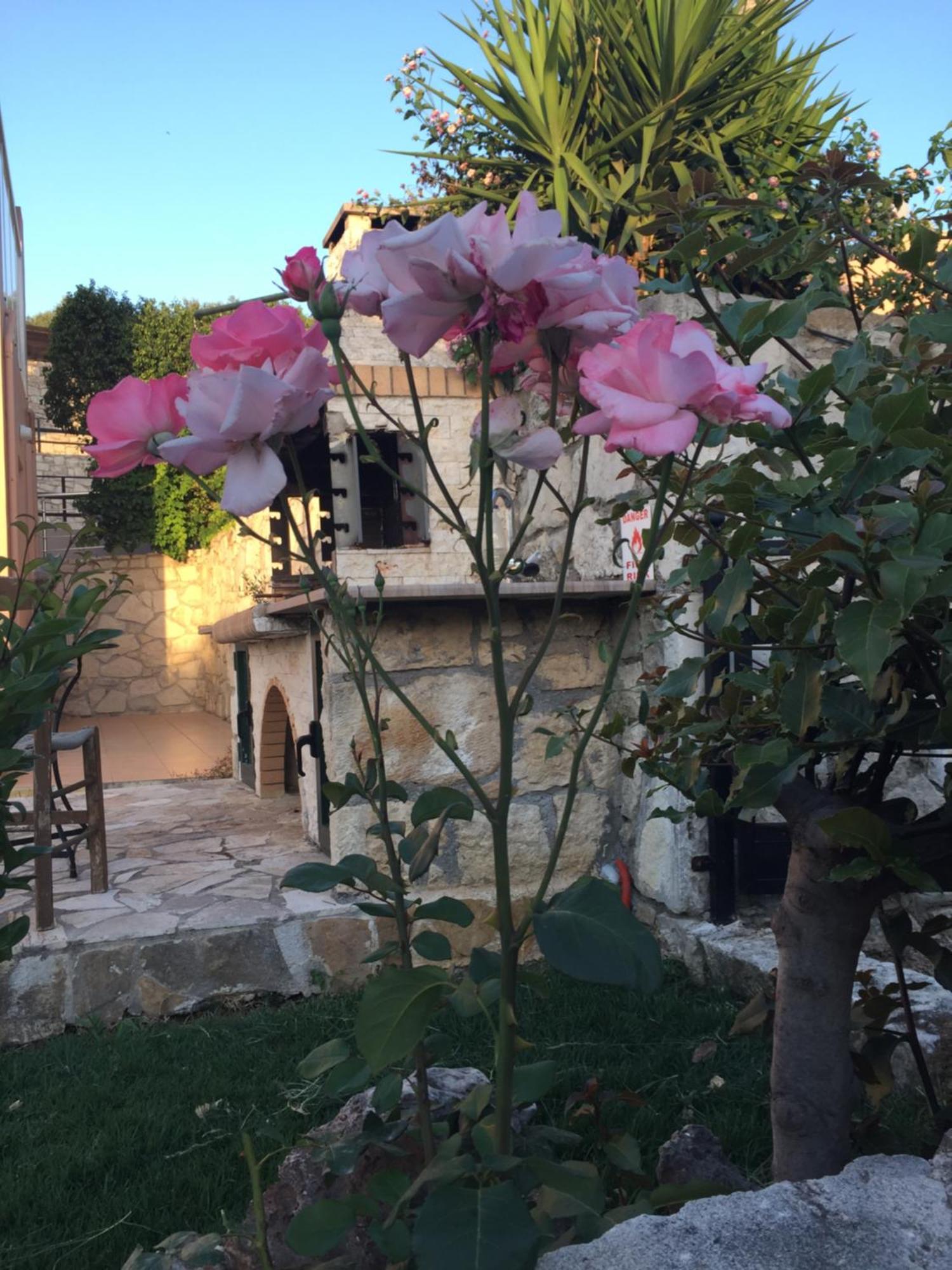 Meliades Villas Agia Marina المظهر الخارجي الصورة